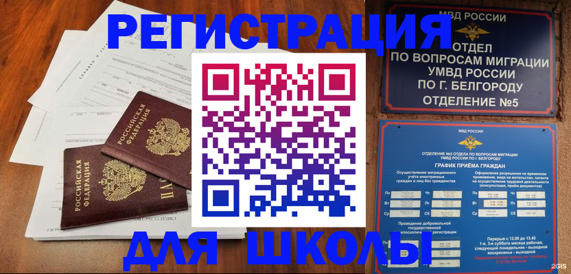 прописка поиск в Нижнекамске